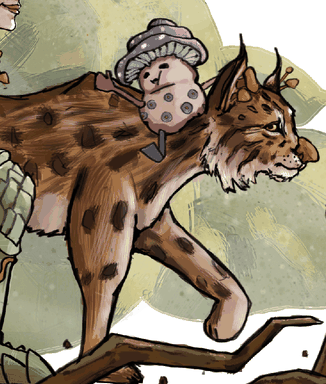 Illustration de la fiche